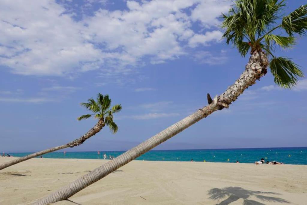 A 500 M De La Plage, Tout Confort Avec Wifi Le Barcares Exterior photo